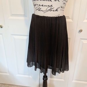 Sheer Layered Black Pleated Skirt, Elastic Waist